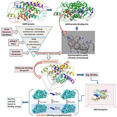 Computational Modeling on Aquaporin-3 as Skin Cancer Target: A Virtual Screening Study